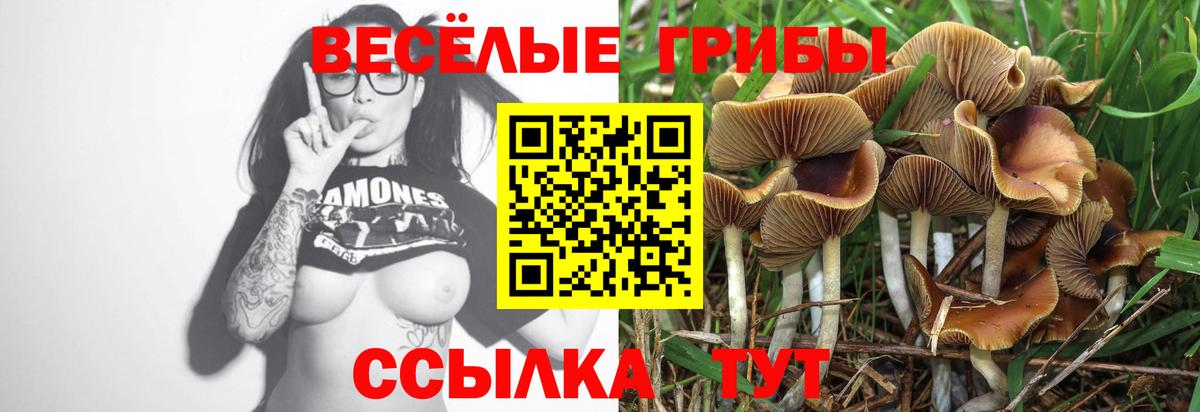 Псилоцибиновые грибы MAGIC MUSHROOMS Ангарск