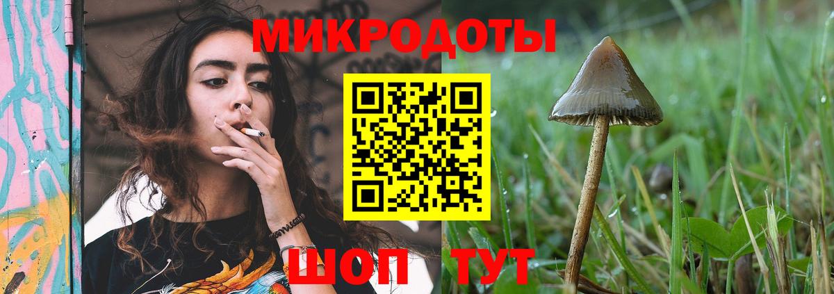 Ангарск  Галлюциногенные грибы прущие грибы  Вход с VPN 